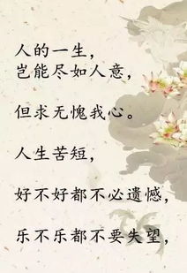 關(guān)于酒的七字詩句