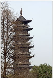 贊浙江烏鎮(zhèn)的詩句古詩