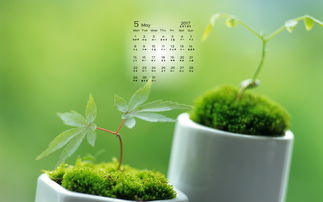 描寫綠色植物的詩句,贊美綠色植物的詩句,綠色植物生機(jī)勃勃的詩句