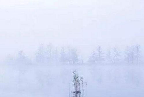 關(guān)于朦朧的詩句有哪些