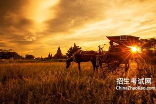 關(guān)于夕陽和老人的詩句古詩