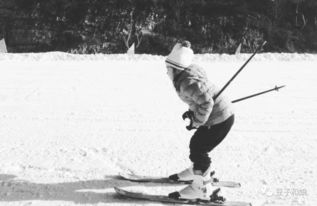 關(guān)于揚(yáng)州的詩(shī)句古詩(shī)詞,有關(guān)菊花的詩(shī)句古詩(shī)詞,有關(guān)梨花的詩(shī)句古詩(shī)詞