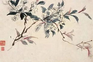 芍藥,詩經(jīng),詩句