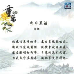 跟古詩(shī)有關(guān)的詩(shī)句有哪些