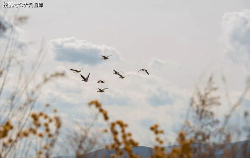 古詩,春夏秋冬,詩句