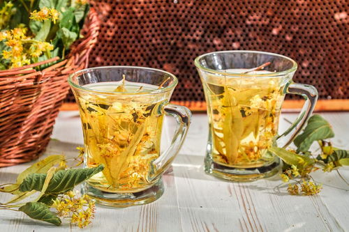 夏天贊美花的詩句古詩大全