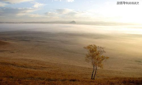 海子關(guān)于孤獨(dú)的詩(shī)句