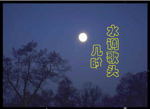 古詩,句子,明月,幾時有