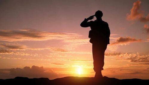 戰(zhàn)場的古詩,戰(zhàn)場詩句古詩,描寫戰(zhàn)場的古詩