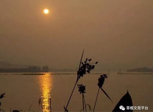 浪跡天涯,詩(shī)句,唯美