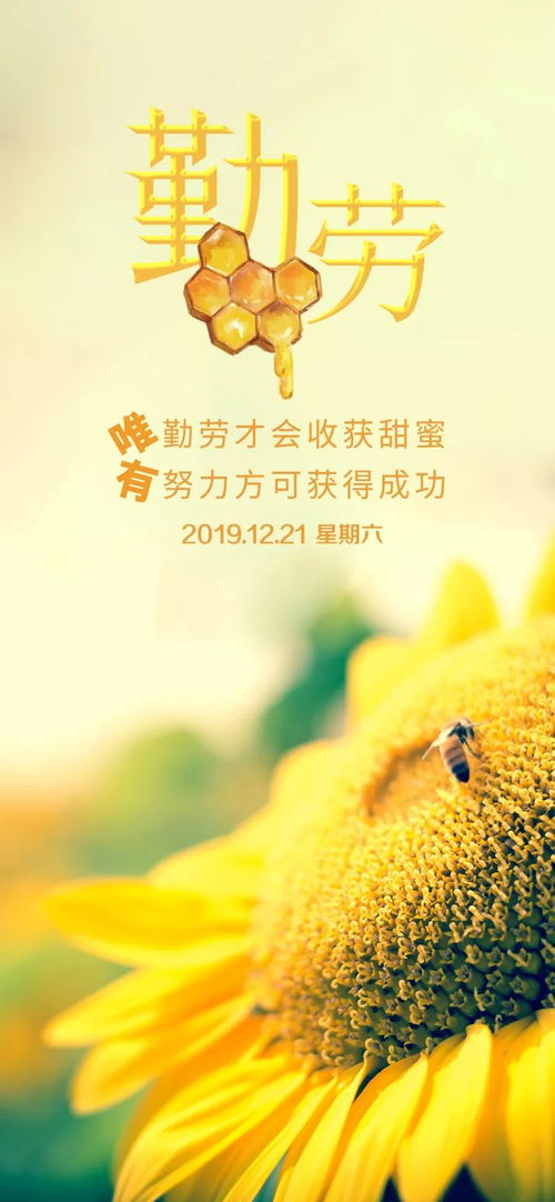 摘抄,詩句,激勵,大全