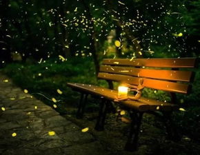 有關(guān)夜晚的古詩句