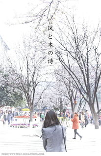 古詩(shī),詩(shī)句