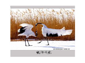 關(guān)于動(dòng)物運(yùn)動(dòng)的詩(shī)句