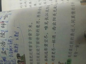 帶顛的古詩句及翻譯