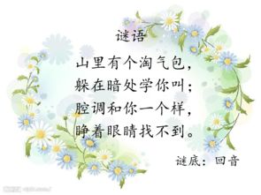 關(guān)于山谷回音的詩句