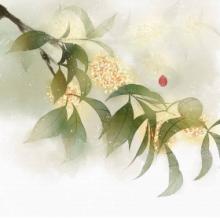 描寫桂林桂花香的古詩句