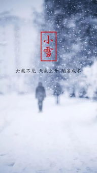 雪美的詩句古詩詞