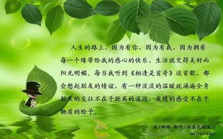 關(guān)于友誼的格言詩句