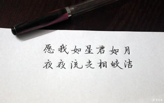 最美的笑容古詩(shī)句