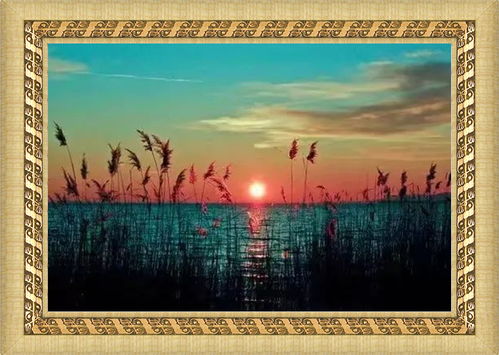 后海的詩句,關(guān)于后海的唯美詩句,關(guān)于北京后海的詩句