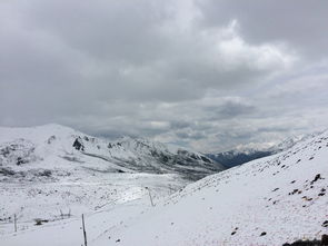 關(guān)于折多山雪景的詩(shī)句
