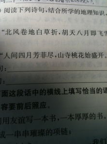 探究古詩中的物候現(xiàn)象詩句