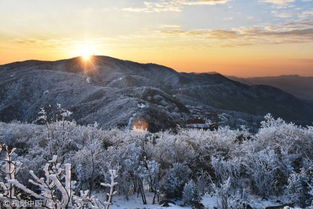 關(guān)于古詩(shī)詞中描寫雪的詩(shī)句