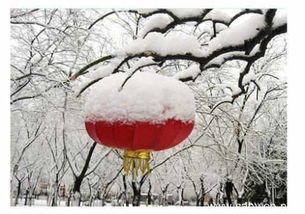 關(guān)于掛燈籠的詩句