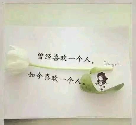 表達(dá)心酸無奈的古詩句