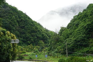 關于桐廬美景的詩句