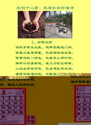 關(guān)于交通安全的詩句和名言,關(guān)于交通安全的詩句四句,關(guān)于交通安全的詩句現(xiàn)代