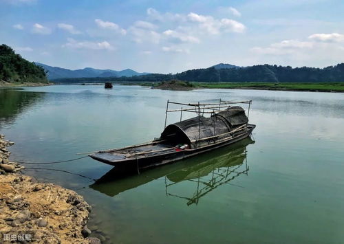 相思之情的古詩詩句,愛國之情的古詩詩句,表示鄉(xiāng)思之情的詩句