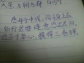 關(guān)于贊美親情的詩(shī)句古詩(shī)詞