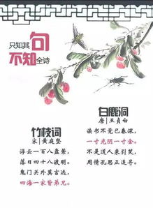 未謀面為友的古詩句
