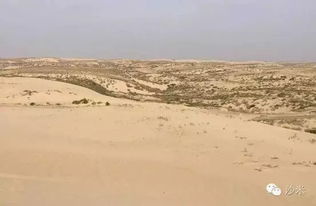 關(guān)于沙漠綠洲的詩句