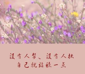 淡淡憂傷的古詩句
