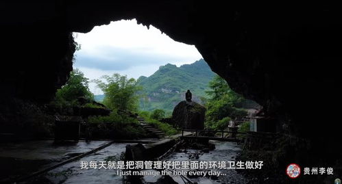 關于老人歸隱的詩句