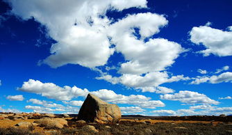 關于祖國山川的詩句古詩