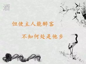 關(guān)于秋天喝酒的詩句子