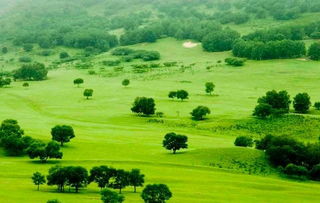 描寫草原的古詩句,贊美草原的古詩句,寫草原的古詩句