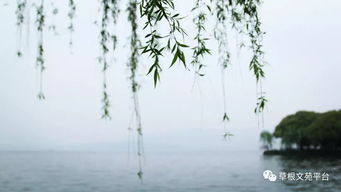 浪跡天涯的經(jīng)典詩(shī)句,一個(gè)人浪跡天涯的詩(shī)句,形容浪跡天涯的詩(shī)句