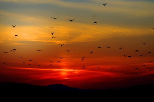 詩句,國慶,心情,旅游