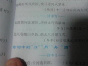 關(guān)于喻雪的詩句