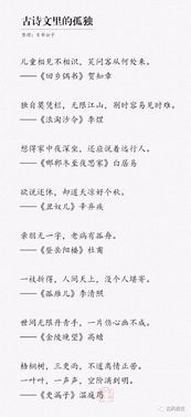 關(guān)于孤獨(dú)的文章詩句