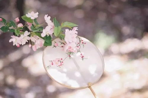 詩句,蘇軾,春花