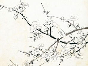關(guān)于梅花的詩句及意
