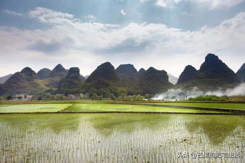 田園風(fēng)光唯美的句子,田園風(fēng)光的句子簡短,感受田園風(fēng)光的句子