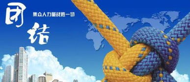 關(guān)于團(tuán)隊(duì)合作的詩句