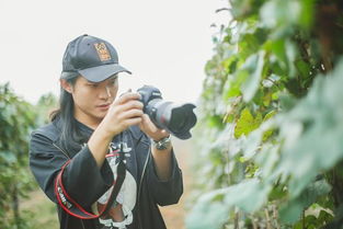 關于有名葡萄的詩句